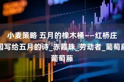 小麦策略 五月的橡木桶——红桥庄园写给五月的诗_赤霞珠_劳动者_葡萄藤