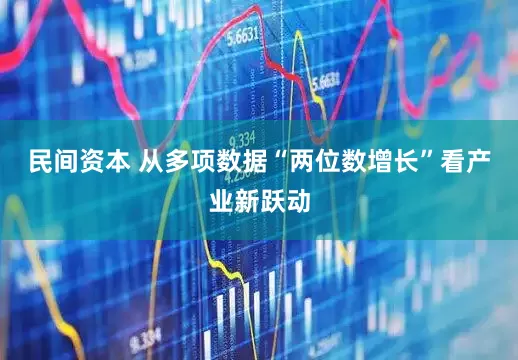 民间资本 从多项数据“两位数增长”看产业新跃动