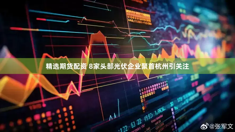 精选期货配资 8家头部光伏企业聚首杭州引关注